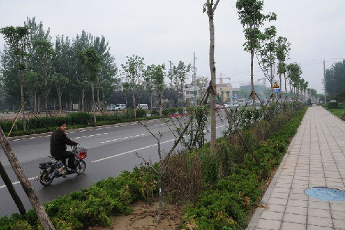 濰坊市臥龍西街（西環路—長松路）